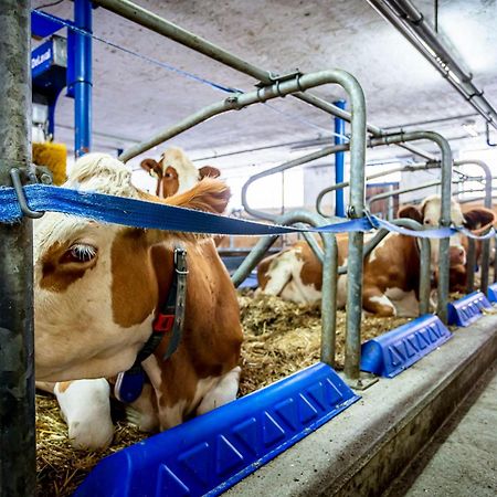 Ferienwohnungen Am Biobauernhof Lahner Bramberg am Wildkogel Exterior foto